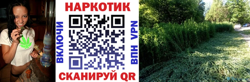 Купить наркоту Власиха MEGA как войти A PVP ГАШ АМФЕТАМИН МЕФ МАРИХУАНА
