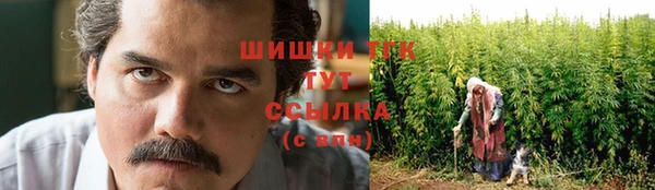 ГАЛЛЮЦИНОГЕННЫЕ ГРИБЫ Новокубанск