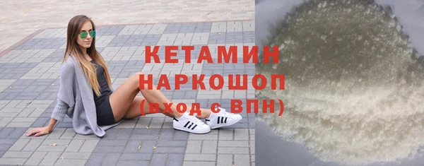 шишки Новодвинск