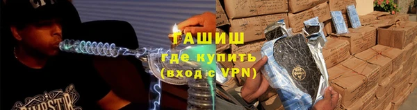 шишки Новодвинск