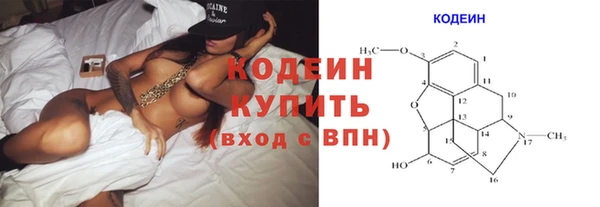 шишки Новодвинск