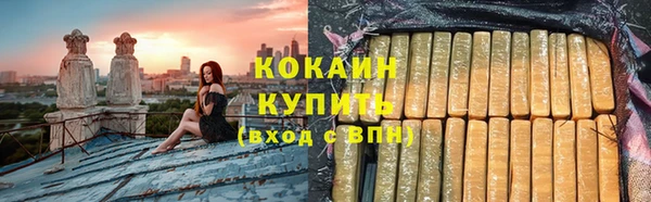 шишки Новодвинск