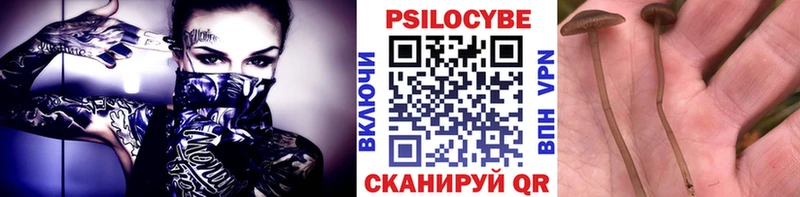 Псилоцибиновые грибы GOLDEN TEACHER Власиха